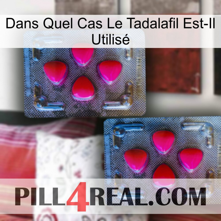 Dans Quel Cas Le Tadalafil Est-Il Utilisé 14
